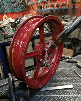 Cerchi Campagnolo in magnesio