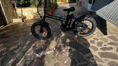 bicicletta elettrica 
