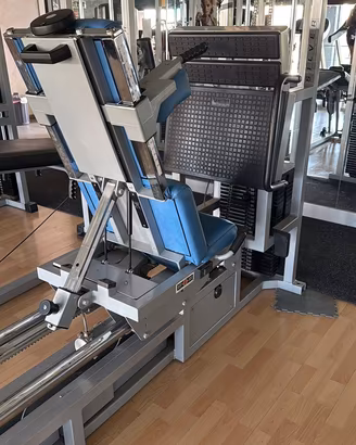Leg Press Orizzontale Technogym Silver