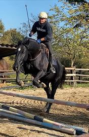 Castrone italiano selezionato 4 anni nel 2026