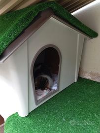cuccia per cane 