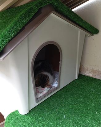 cuccia per cane 