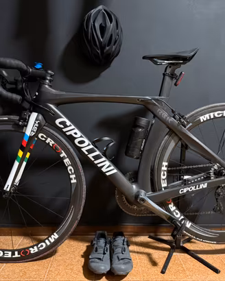 Cipollini taglias