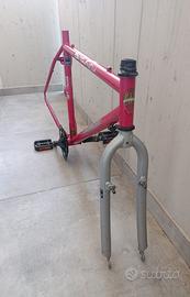 telaio bianchi