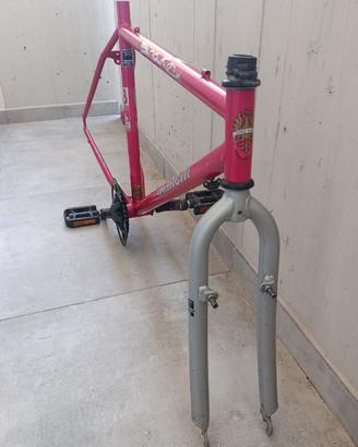 telaio bianchi