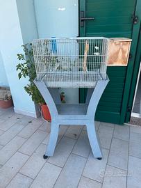 Gabbietta pappagalli, uccelli completa