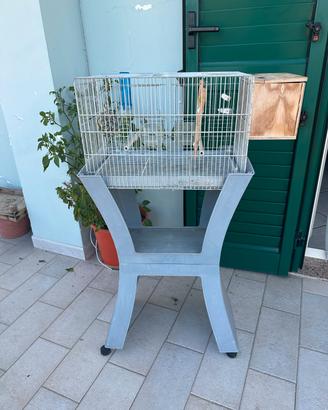 Gabbietta pappagalli, uccelli completa