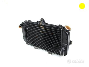 Radiatore acqua YAMAHA TDM