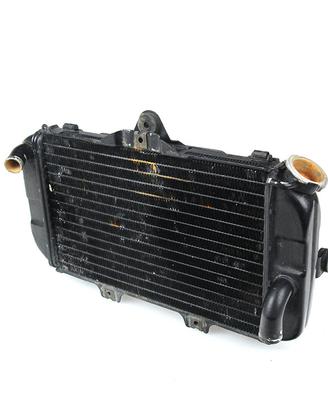 Radiatore acqua YAMAHA TDM