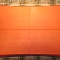 WII BALANCE BOARD BISNCA CON COVER ROSSA