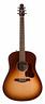chitarra-seagull-043492