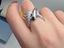 Immagine 8