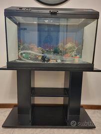 Acquario 130 Litri