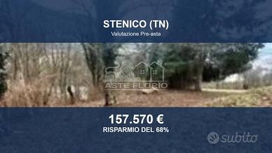 Immobile in asta di 11529 m² a Stenico