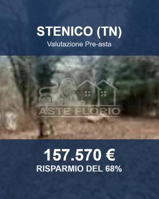 Immobile in asta di 11529 m² a Stenico