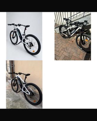 Bici asistida