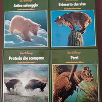 Cofanetto Disney Natura