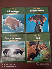 Cofanetto Disney Natura