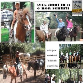 Soci o gestori equestri
