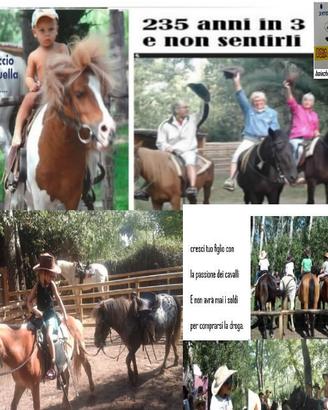 Soci o gestori equestri