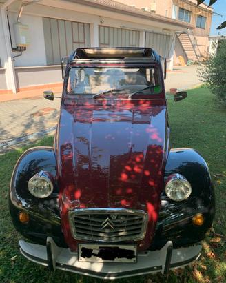 Citroen 2cv - 1981