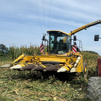 Spannocchiatore fantini