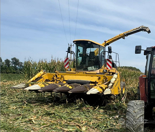 Spannocchiatore fantini