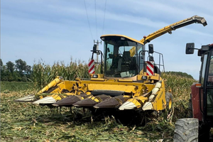 Spannocchiatore fantini