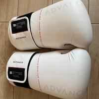 Guantoni da boxe