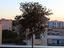 Immagine 11