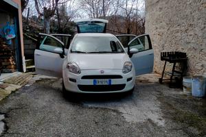 fiat punto 