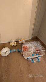 gabbia per criceto russo