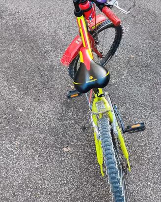Bicicletta