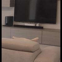 TV + dolby e cassa LG + staffa meliconi