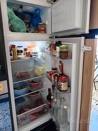 frigo