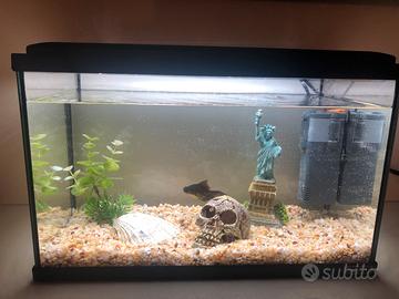 Acquario Sicce litri 33