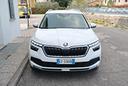skoda-kamiq-1-0-tsi-110-cv-ambition