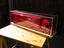 Immagine 6