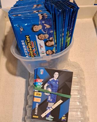 119 bustine Esselunga Adrenalyn Panini + 63 figuri