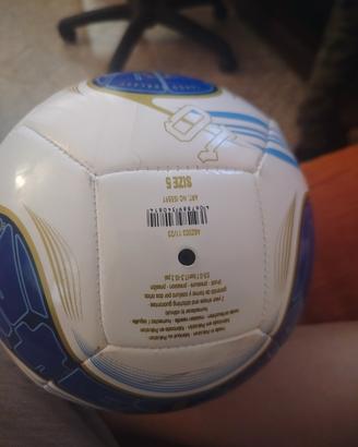 pallone da calcio 