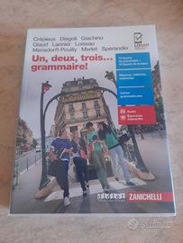 Un, deux, trois... grammaire! - 9788808720757