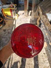 Professionale ! Scalda vivande Ristorante 