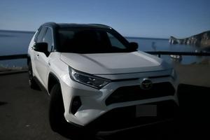Toyota rav 4 hybrid 34mila kilometri prezzo tratta