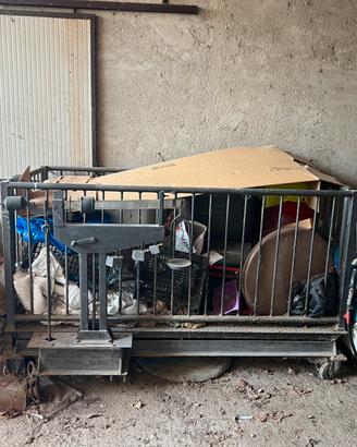 Pesa/bilancia animali grandi taglie