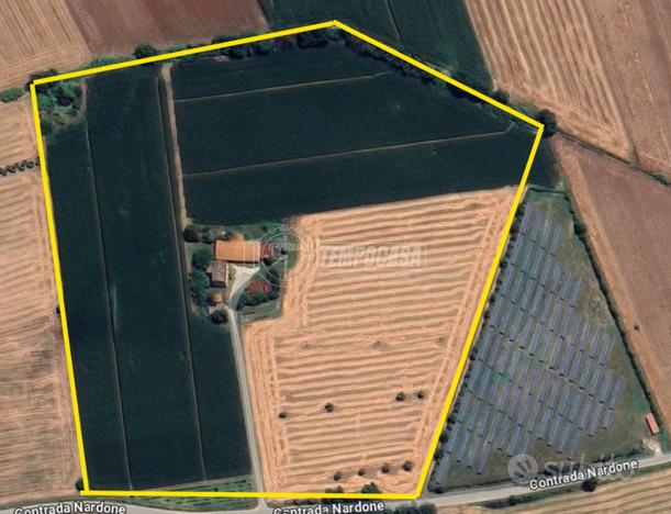 Terreno agricolo pianeggiante di 8,5 HA