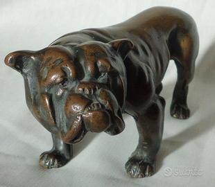 Fusione in Bronzo - Bulldog Francese anni 30/50