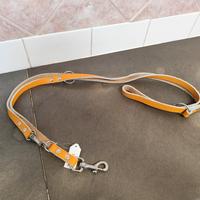 Guinzaglio addestramento 