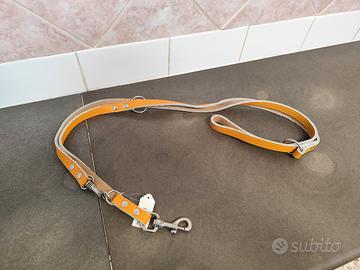 Guinzaglio addestramento 