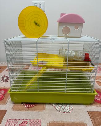gabbietta per criceti