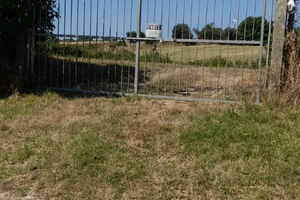 Terreno coltivato sito a Piansano ( Viterbo)